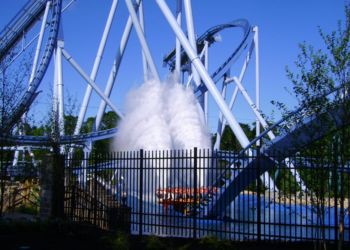 Henderson-Incorporated-Busch-Gardens-Griffon-3